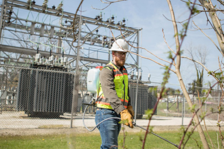 Integrating Vegetation Management and Technology in Utility Services