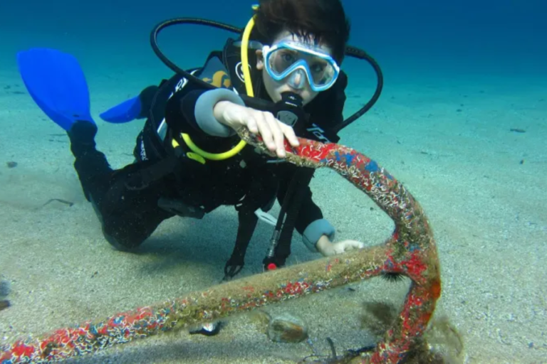 The Thrill of Diving: A Beginner’s Guide to Safe and Fun Underwater Adventures