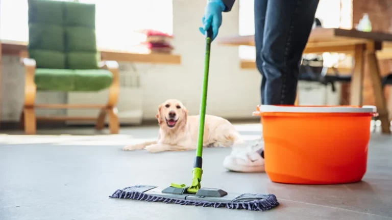 How Professional Maid Services Handle Special Cleaning Needs for Pet Owners