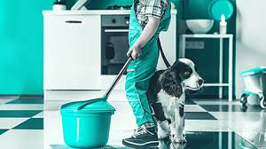 How Professional Maid Services Handle Special Cleaning Needs for Pet Owners