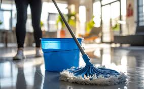 Investing in Clean: Why Professional Cleaning Services Are Worth Every Penny